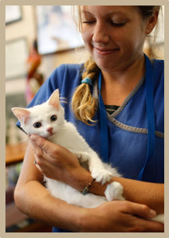 Clarksville, TN Pet Emergency Care | Pet 911 | Clarksville, TN